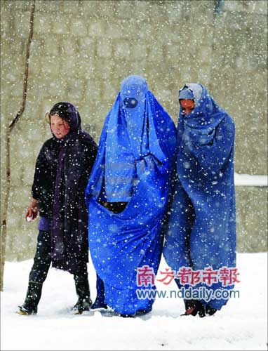 ������ѩϯ�����