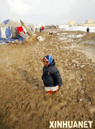 �Ϻ���ѩϯ�������� ����750�˱�����[��ͼ]