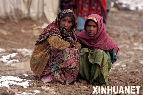 �Ϻ���ѩϯ�������� ����750�˱�����[��ͼ]