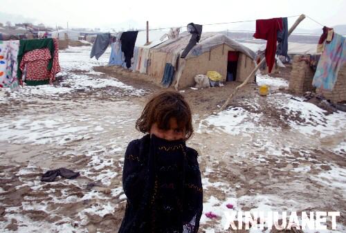 �Ϻ���ѩϯ�������� ����750�˱�����[��ͼ]