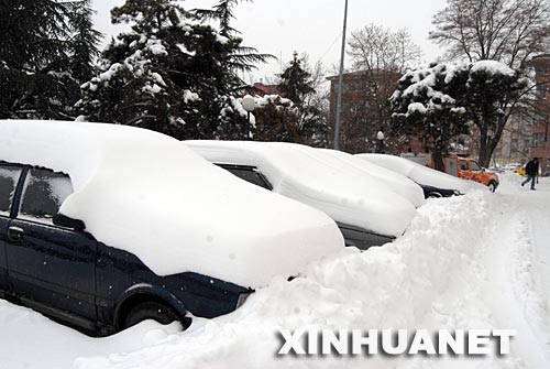 �������ѩ��������ɼ��󲻱�[��ͼ]