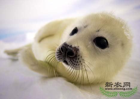 ���ô����Ӳ�ɱ�����������ȫ����(ͼ)