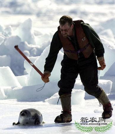 ���ô����Ӳ�ɱ�����������ȫ����(ͼ)