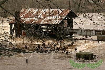 �����в����������Ϯ��13������(ͼ)