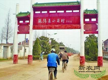 С�ڴ����߼������֮·