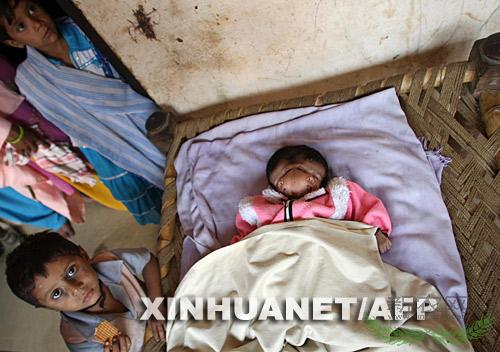 ӡ��˫��ŮӤ������4ֻ�� ��ĸ��������(ͼ)