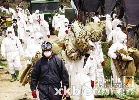 ��������������ȫ��300����ֻ���ݱ���ɱ(ͼ)