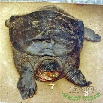 �����о���Ա��Խ�Ϸ��־��Ͱ߱�(ͼ)