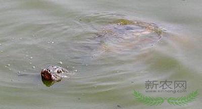 �����о���Ա��Խ�Ϸ��־��Ͱ߱�(ͼ)