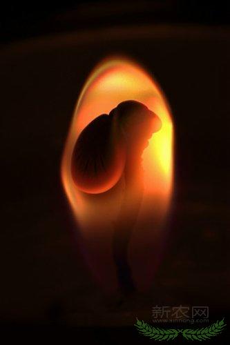 ����Ϩ��ķ�������