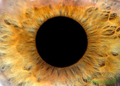 ����Ϩ��ķ�������