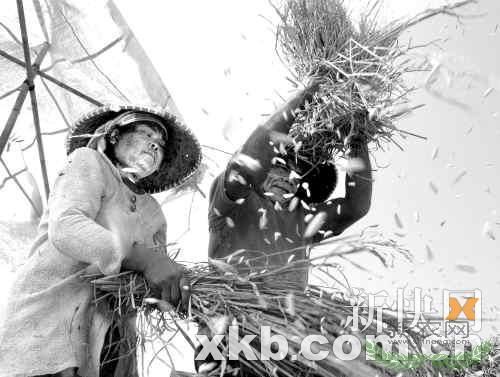 �����ⴢ��8.7���Ӧ��