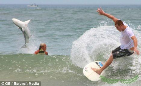 ������̲���������蹲�� ��Ӱʦ���¾���һĻ(ͼ)