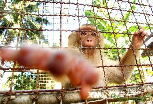 ̩��Ҭ�Ӽ۸��»� Ҭ��ʧҵ����ʳ����[��ͼ]