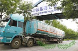 ��ʢ����