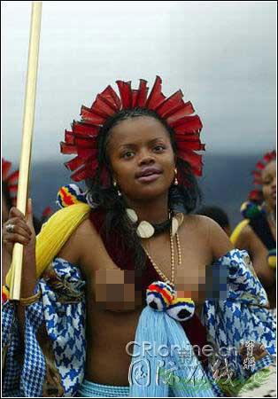 ����˹��ʿ������ѡ�� 7����Ů����Ӧ��(ͼ)