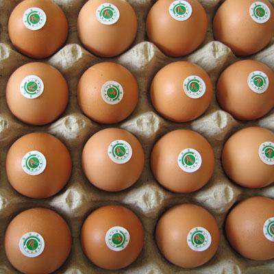 ����ٴμ�������谷���꼦�� �������Ժ���