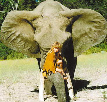 ����Ů���ͷ���Ұ��һ�𳤴�(��ͼ)