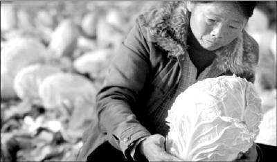 ����ɱ������º��ϰײ����� 4��Ǯ������