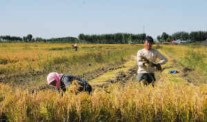 �л�ũׯ����������Դվ