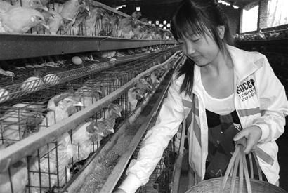 �������鼰ũ�壬�����ڹ�ģ��������˵��������Ҫ����������Ҫ�ƶ��ߣ�������Ĳ�������ɵĹ�ģ�����������ǿ���ïԴ��ֳרҵ�����硱��������˷�չ׳�������ġ�