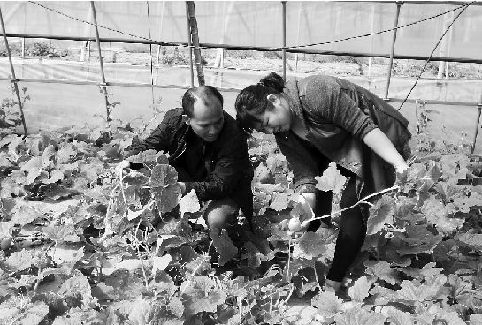 ���ຣ�����������������о�һ����Ʒ����ϡ���ϸ� ��