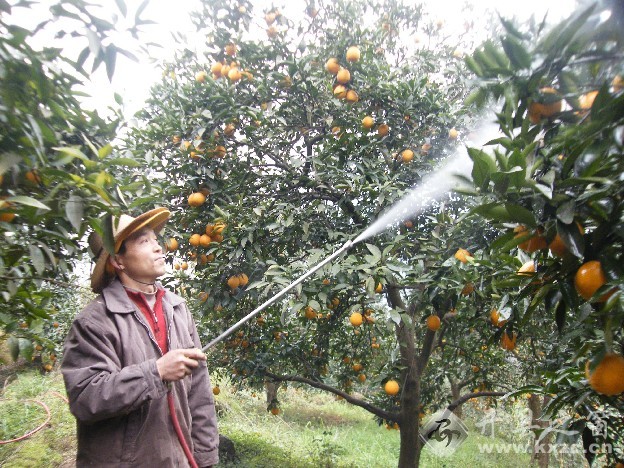 �¸�ְ���������а���԰�����¸�