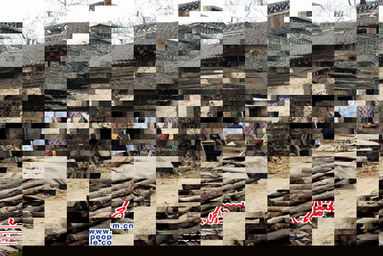 66�����С��ס�ڵ�ׯ���Ͻ��壬Сʱ����Ϊһ���¹�������ֲм���65����ϰ�������������ಡ���Ϳ���С������Ķ���Ϊ���������ڵķ������ʧ�ޣ��ѳ�Σ���������������� �����㣩