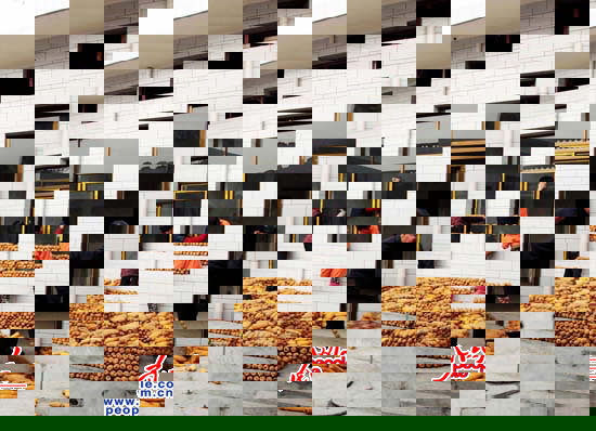 66�����С��ס�ڵ�ׯ���Ͻ��壬Сʱ����Ϊһ���¹�������ֲм���65����ϰ�������������ಡ���Ϳ���С������Ķ���Ϊ���������ڵķ������ʧ�ޣ��ѳ�Σ���������������� �����㣩