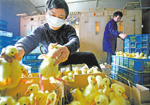 ����ͷ��ѧ�ҡ������컧�¸���ɽ