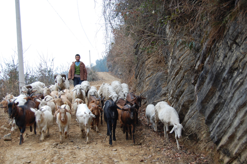 ��Զ������ֳ���������¸�·