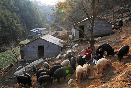 �㽭�²������������̬�����´�����������