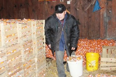 ������˳���ڽ�������� ��ũ����������Щ����