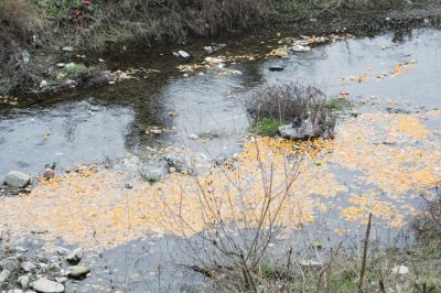 ������˳���ڽ�������� ��ũ����������Щ����(ͼ2��