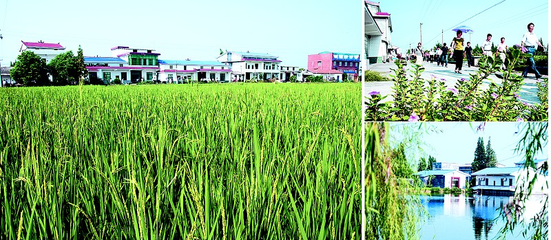 ������ũ�彨�������Ž�