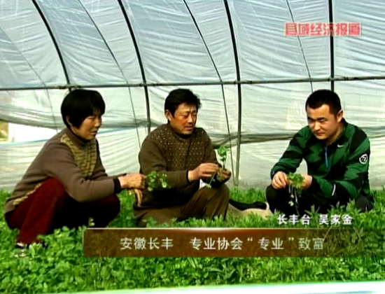 ���ճ��᣺רҵЭ��רҵ�¸���������Ƶ��ͼ��