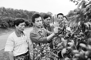 �������桱���콨����ũ��