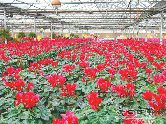 ��ˮ����ѭ��ũҵ������ģʽ