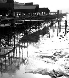 Ʒ��ũҵ����ũ���¸���������