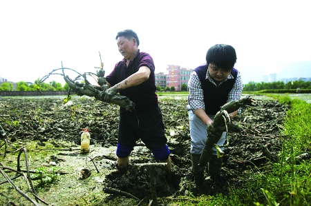 ���ش���15����ɽ�¸�· 1�����뿰����ǰ1��