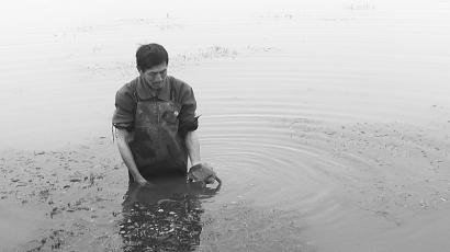 �㽭��ɽ��ũ��ׯ������ֳ�����������¸�·