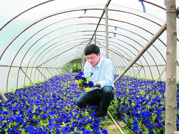 ����ΰ��������鿴��ǣţ�ĳ���