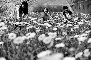 �ֻ��Թ� �۹�ũҵ��������