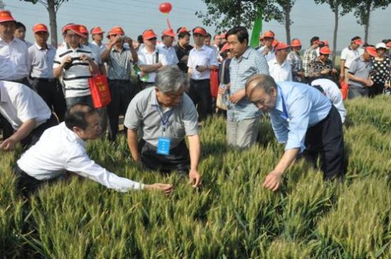 ȫ��ũ�������ں�������ٰ�Ƽ��ٽ�����Ʒ��չʾ�