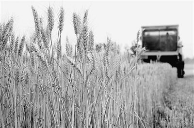 �����������������ֹ�