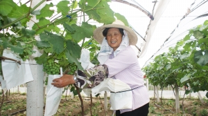 ����������԰�ڸ����ѡ����·�����