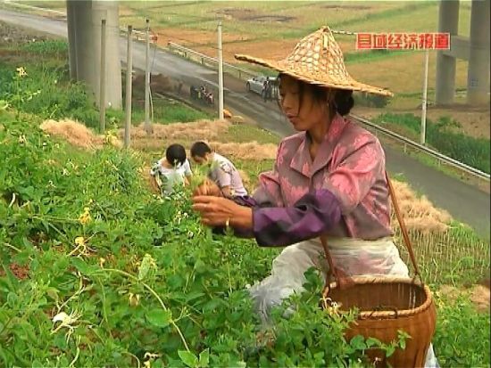 �㽭�����������Ƹ���