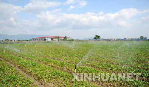 ���������ػ��������ҵ�����߲˲�ȡ��ˮ��༼��