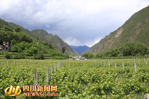 �����ذ�������֧������԰����