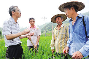 �������������ˮ�����溦 �������Լռ1/3